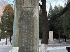 -赵州桥景区