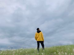 -白鹭湾湿地公园