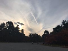 -京都御所