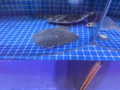 -晶渔坊·海鲜私房菜(东夷小镇店)