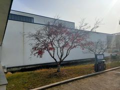 -费孝通江村纪念馆