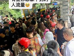 -将军关探险漂流