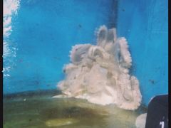 -桔子海鲜烧烤大排档(金沙滩店)