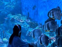 -海合安成都极地海洋公园
