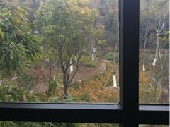 窗外美景-苏州环秀晓筑养生度假村