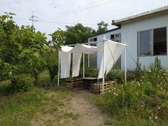 -柑橘农场