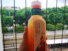 -野萃山·潮汕厚果汁(十亩地店)