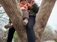 -淇河国家湿地公园