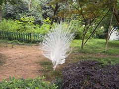 -宁波野生动物园