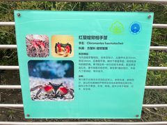 -上海吴淞炮台湾国家湿地公园