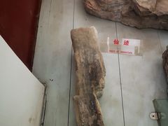 -赵州桥景区