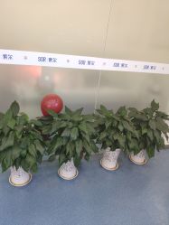 点击看大图 -SOR索尔祛痘·面部肌肤科学管理