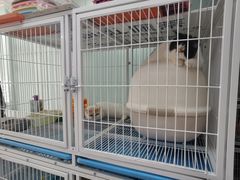 -天雅宠物(绿岛苑店)