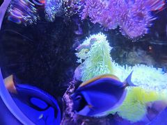 -太平洋海底世界