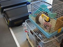 -UltraForce超源健身私教工作室(长楹天街精品店)