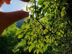 -华蓥山天意谷景区