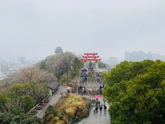 -黄鹤楼公园(黄鹤楼)