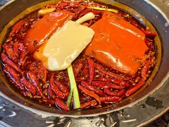 -蜀大侠火锅(总府路店)