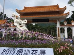 -深圳仙湖植物园-停车场