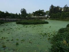 -印象普陀