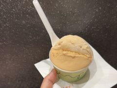 -Dip in Gelato(富民路店)