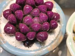 -花鸟鱼虫鲜花绿植市场(玉泉路店)