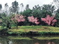 -常德桃花源景区