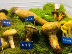 -束河人家(南锣鼓巷店)