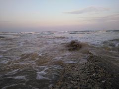 -阳光海岸露营公园