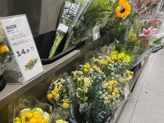 -鹿岛生活(熙地港店)