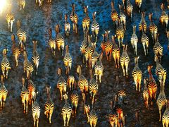 -罗红摄影艺术馆