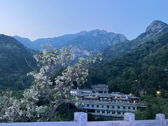 -泰山风景名胜区