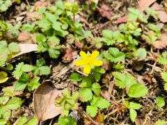 -白鹭湾湿地公园