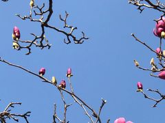 -桃花涧