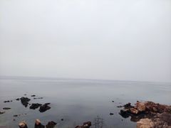 -养马岛旅游度假区