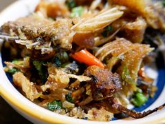 -土著渔匠·养生蝴蝶鱼(香樟路店)