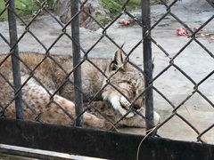 -大连森林动物园