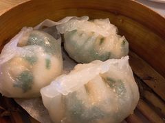 -食为先(Shark Fin)