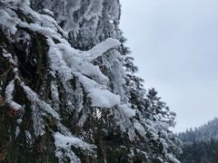 -武陵山森林公园