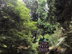 -莫干山风景区