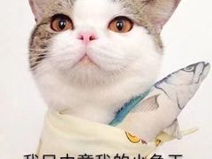 -渔掌门(铁东店)