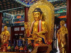 -天津大悲禅院