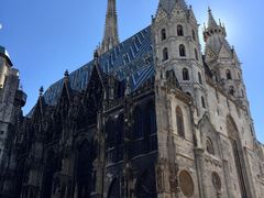 -斯蒂芬主教座堂(Stephansdom)