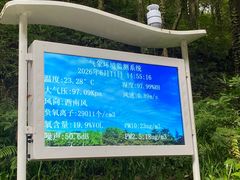 -江西阳明山国家森林公园