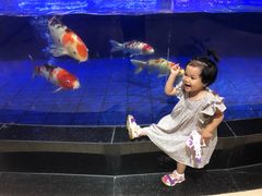 -鹏天阁酒楼·海鲜(红旗店)