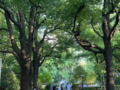 -上海交通大学医学院附属瑞金医院(总院)