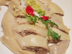 白切竹林走地鸡-粤·向群饭店(麓景路店)