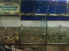 -兆辉木炭海鲜烧烤·海鲜小炒