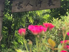 -后襄河公园
