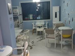 -喵的天空名猫咖啡馆·撸猫·猫舍·用品